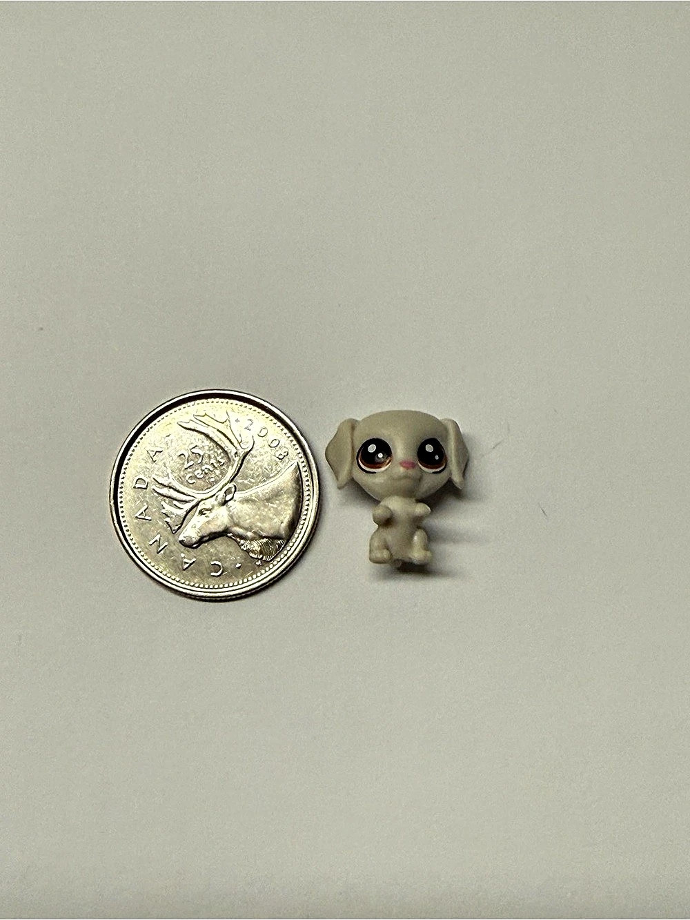 Littlest Pet Shop (Series 1) #1-108 Bertie Weimaran